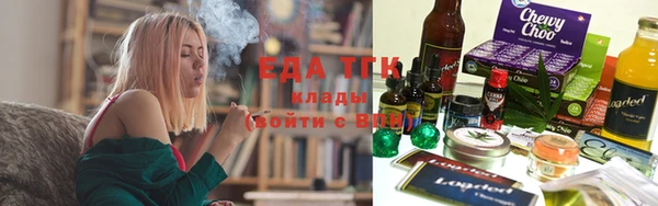 индика Протвино