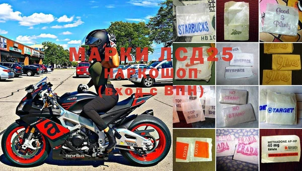 прущие грибы Алзамай