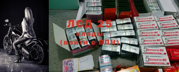 индика Протвино