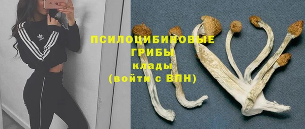 спайс Пролетарск