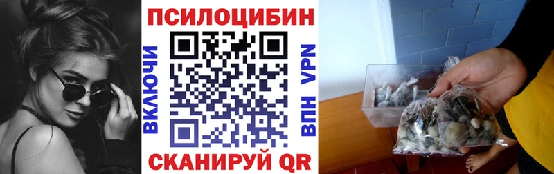 Псилоцибиновые грибы MAGIC MUSHROOMS Вичуга